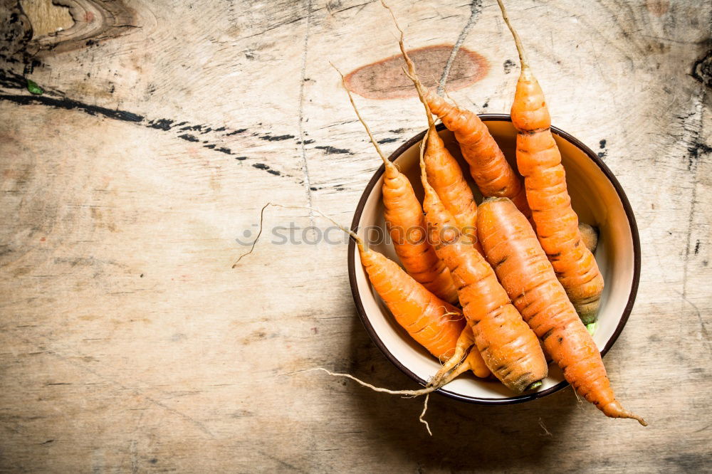 Similar – female human hand holding three large orange carrot