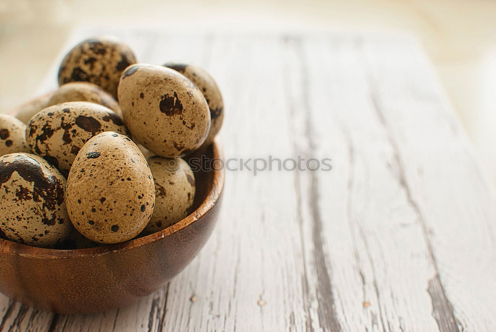 Similar – Image, Stock Photo Three fresh quail eggs on a gray wooden surface