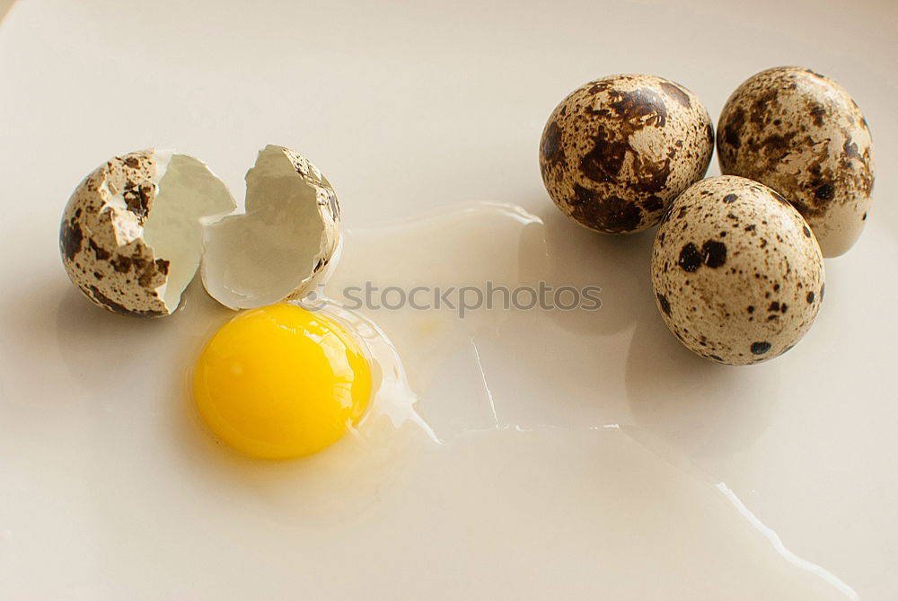 Similar – Image, Stock Photo Quail eggs on a wooden surface