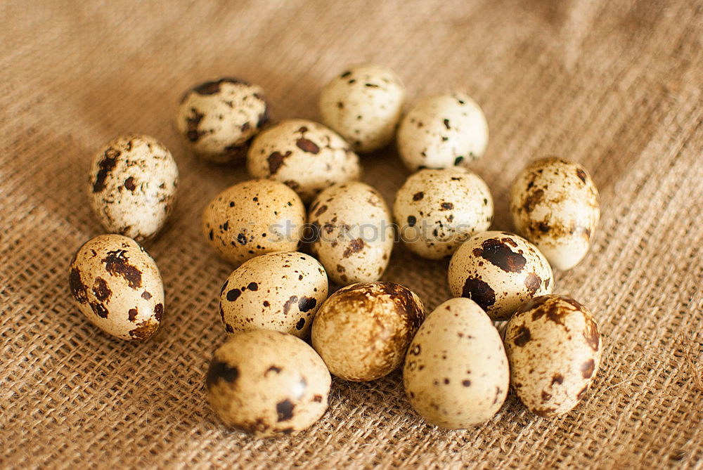 Similar – Image, Stock Photo Small breakfast eggs Food