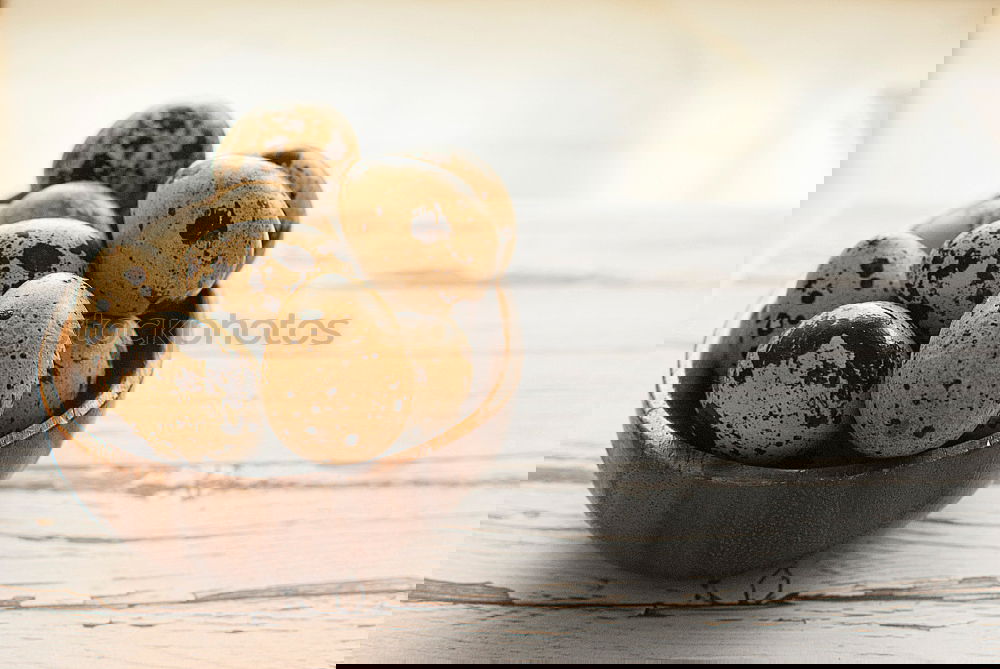 Similar – Image, Stock Photo guinea fowl eggs Food Egg