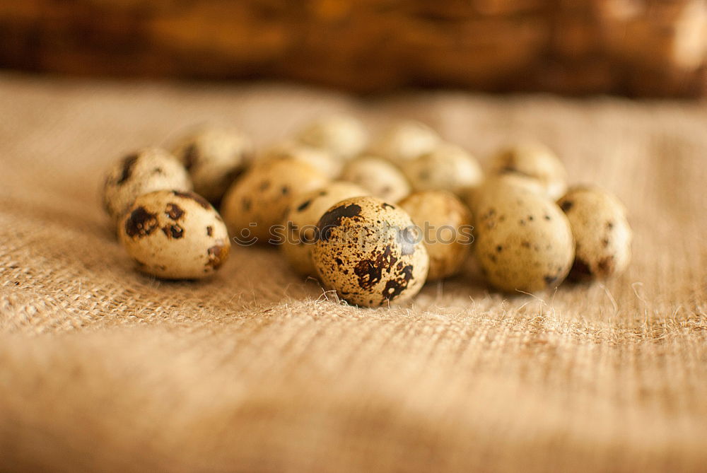 Image, Stock Photo Small breakfast eggs Food