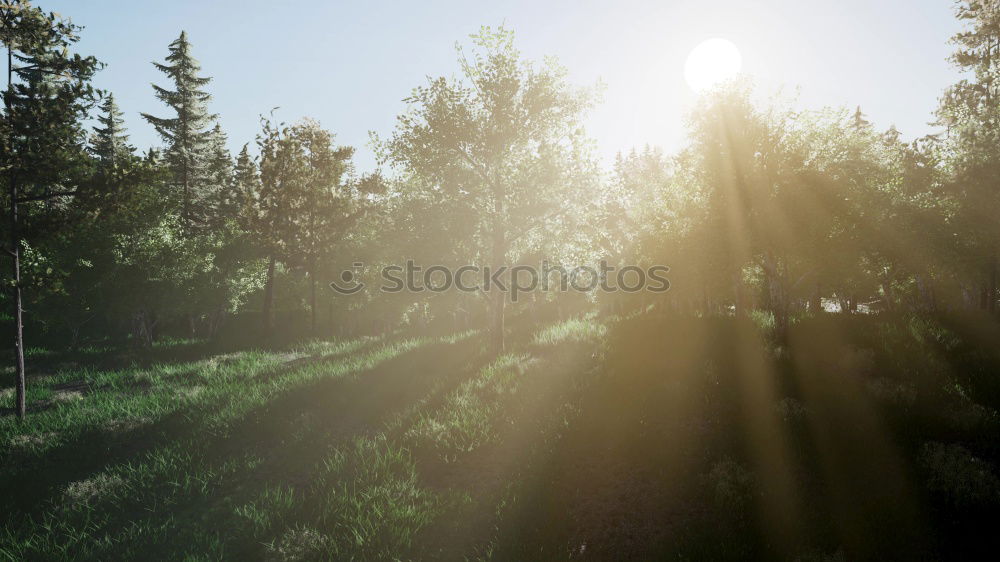 Similar – Image, Stock Photo Cow ensemble in late summer light