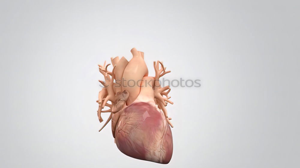 Image, Stock Photo Heartbreak. Organ Meat