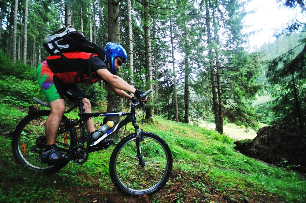 Similar – Foto Bild Steilflug Fahrrad Wald