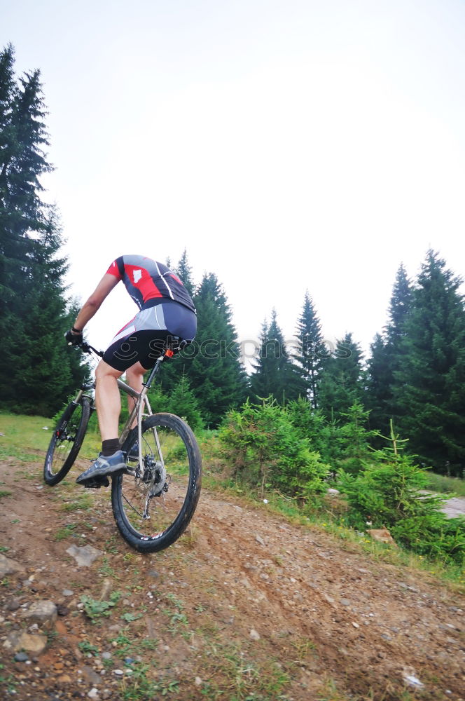 Similar – Foto Bild Steilflug Fahrrad Wald