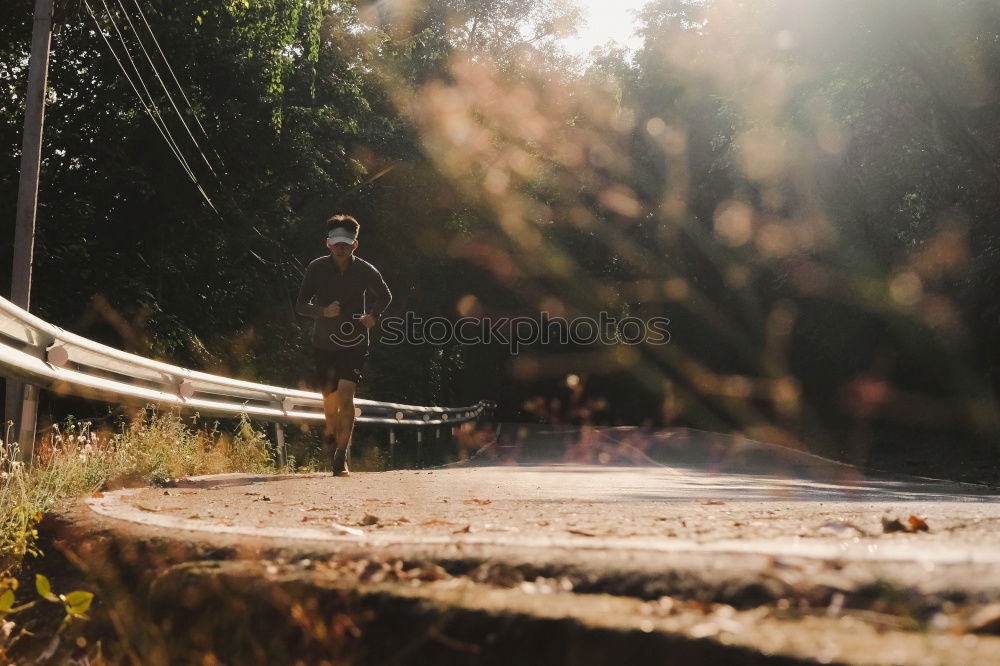 Image, Stock Photo Man in forest looking into backpack