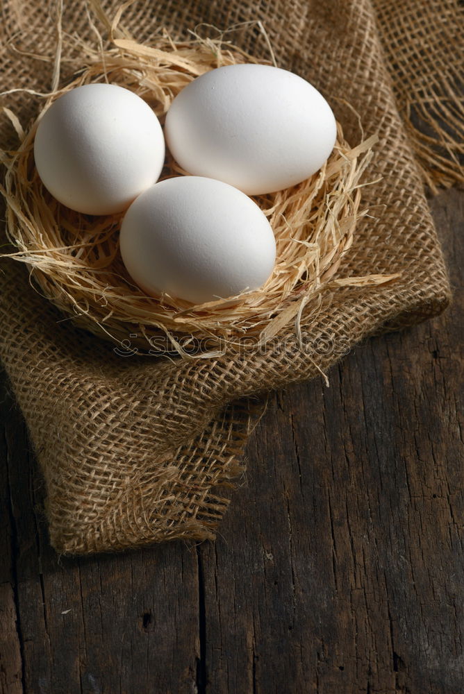 Similar – Image, Stock Photo Raw chicken eggs Eating