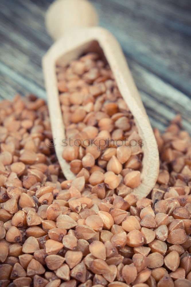 Similar – Image, Stock Photo peep Lentils plate lenses