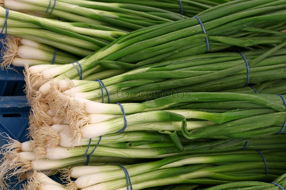 Similar – Image, Stock Photo Spring onion on a rustic wooden table
