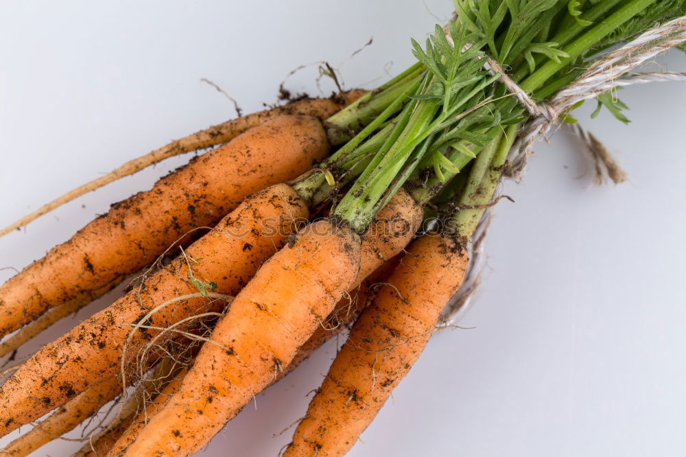 Similar – Carrots on a jute sack