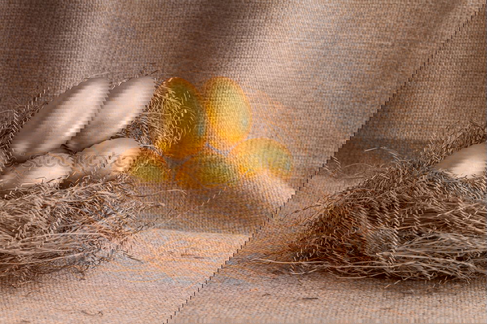 Similar – Image, Stock Photo osterkranz the fourth Wood