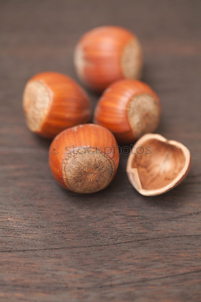 Similar – Image, Stock Photo nut mix Food Plant Round