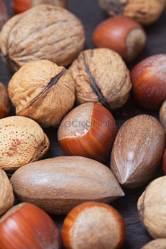 Similar – Image, Stock Photo halzelnut Food Fruit