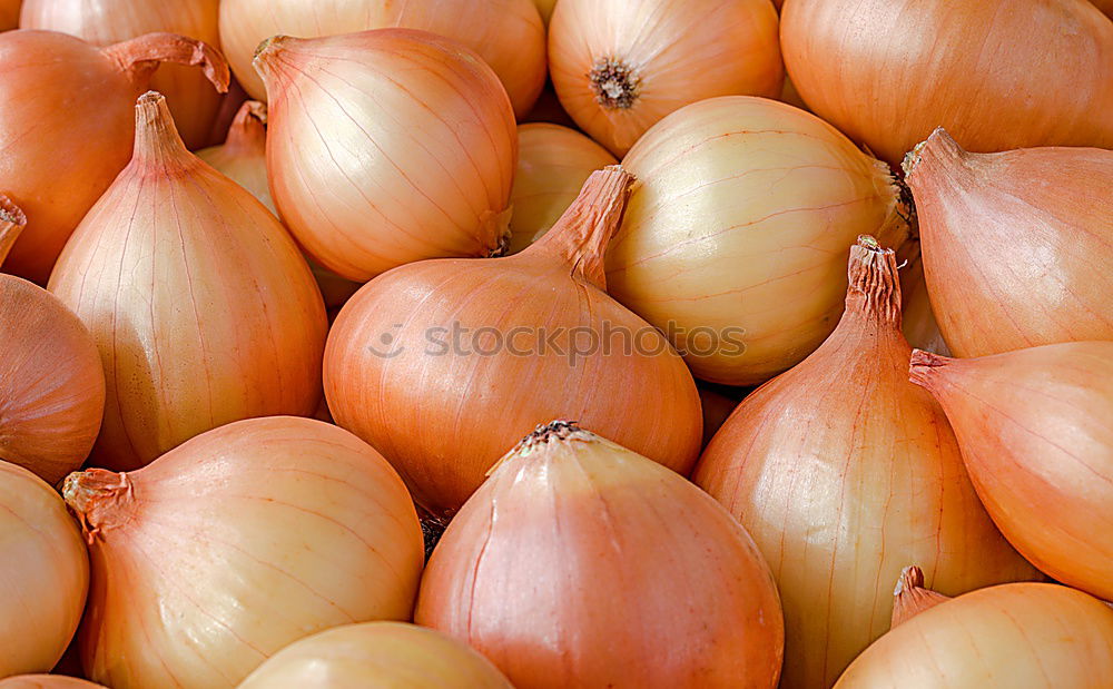 Similar – Image, Stock Photo Onions & Ginger Food