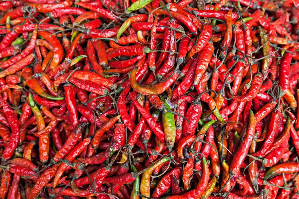 Similar – Sharp Healthy chilli Tangy