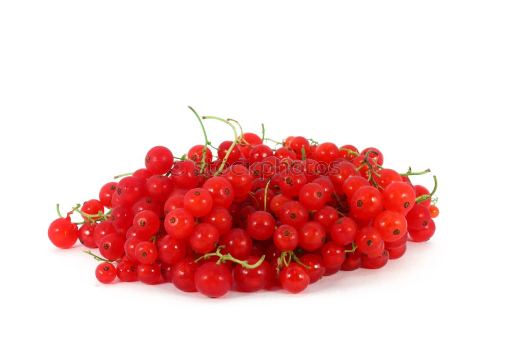 Similar – Image, Stock Photo Red Currants Fruit