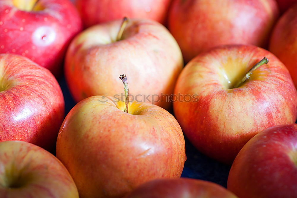 Similar – veräppelt Apfel Frucht