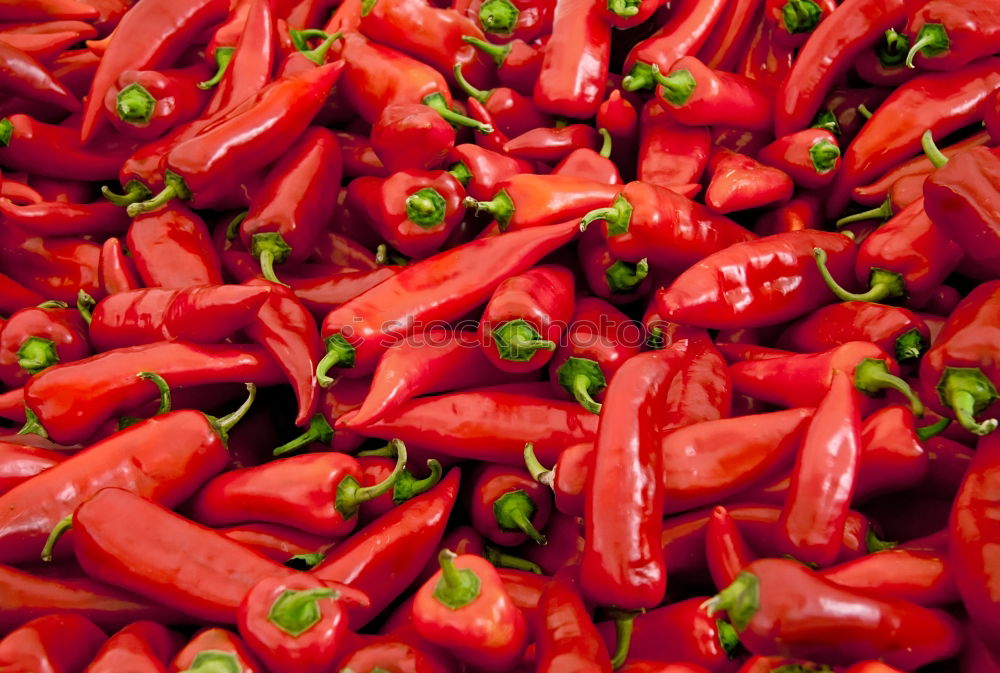 Similar – Image, Stock Photo peperonicase Chili