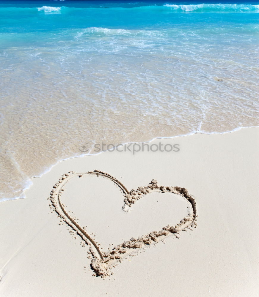 Similar – Image, Stock Photo Beach Love Lifestyle Joy