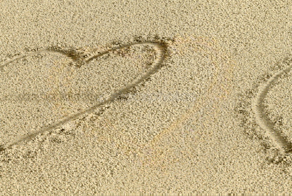 Similar – Image, Stock Photo Heart sign Health care