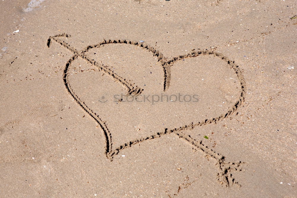 Similar – Image, Stock Photo plastic waste Beach Ocean