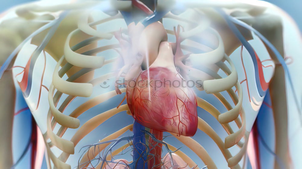 Similar – Image, Stock Photo #AS# Love from the heart