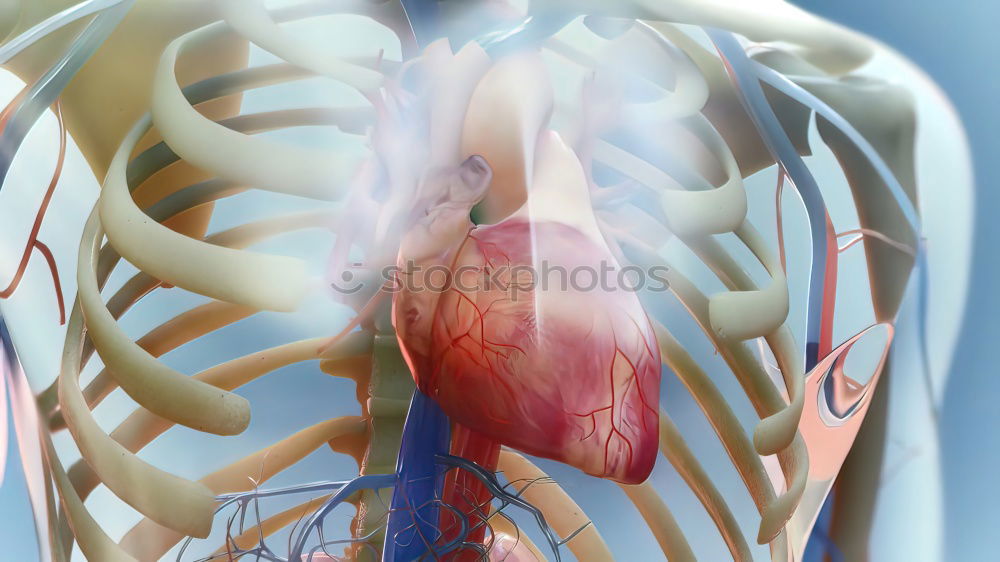 Similar – Man with cigarette and smoker’s lung