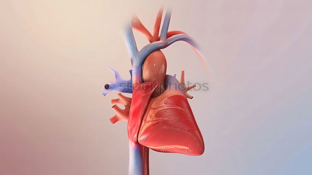 Similar – Man with cigarette and smoker’s lung