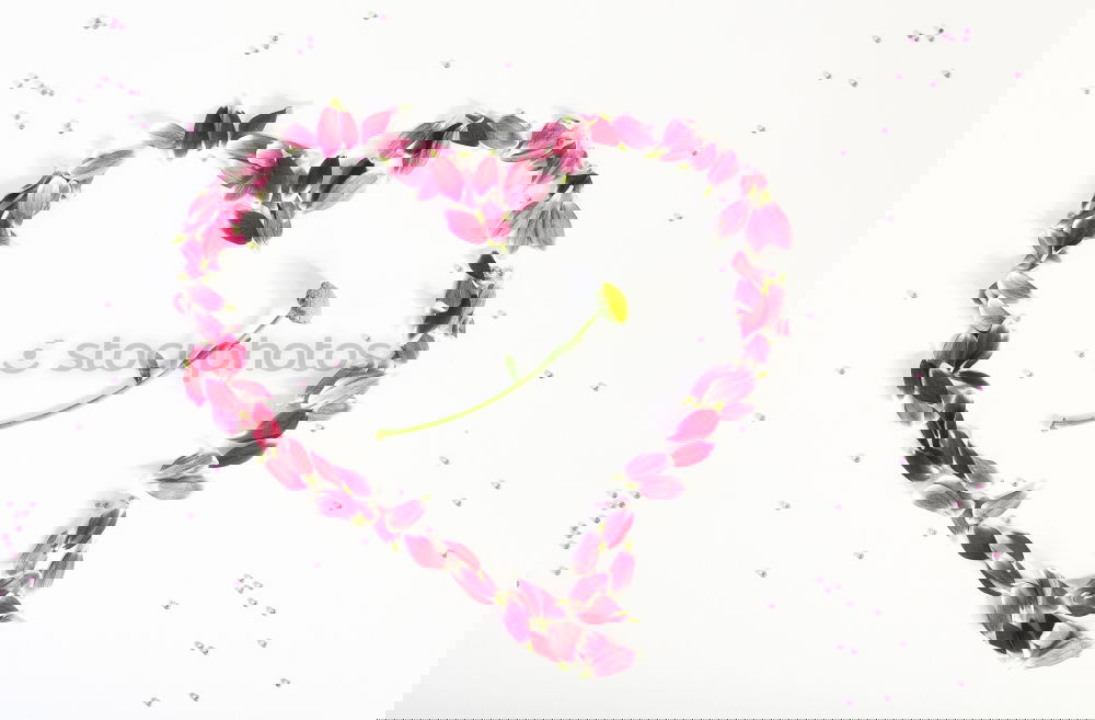 Similar – Image, Stock Photo Beautiful flower frame with pink petals
