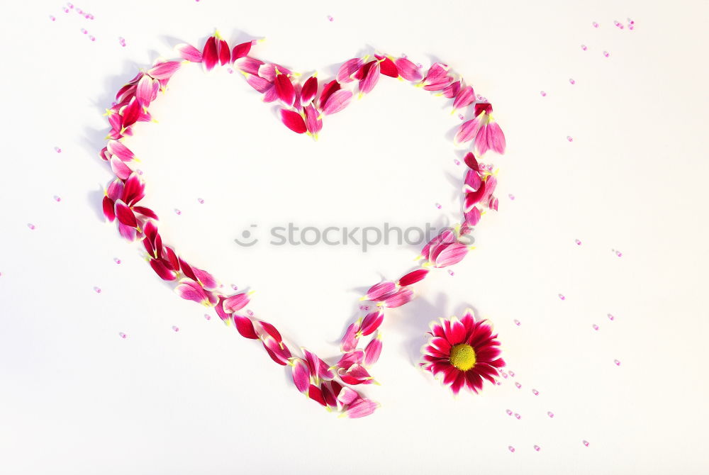 Similar – Heart of pink flowers