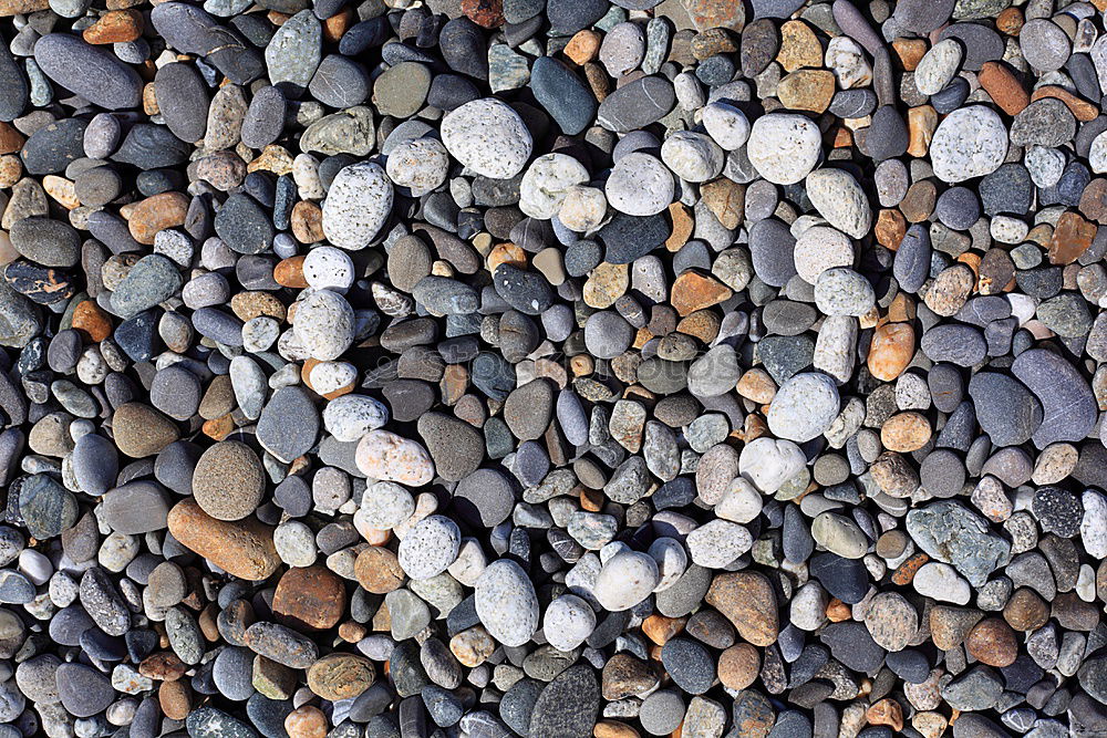 Similar – stones Pebble Gravel Beach