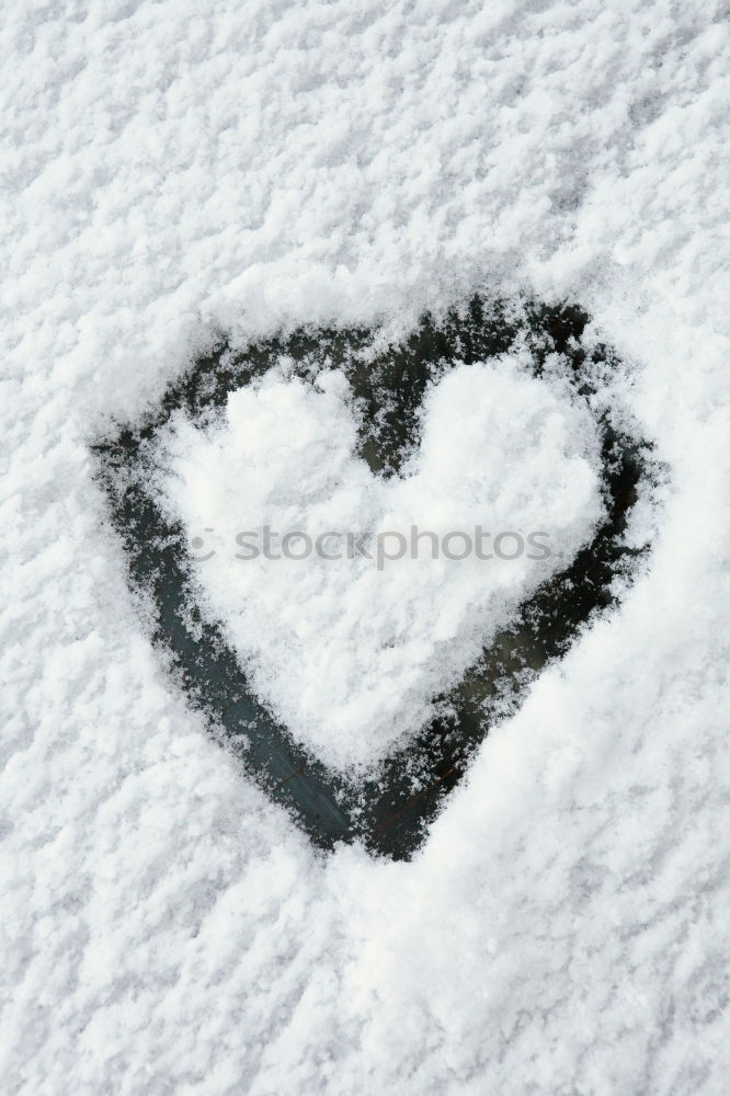 Similar – snow heart Flake Cold