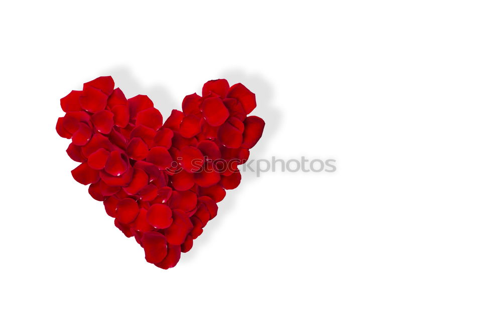 Similar – Image, Stock Photo Red heart shaped wooden sewing buttons on canvas