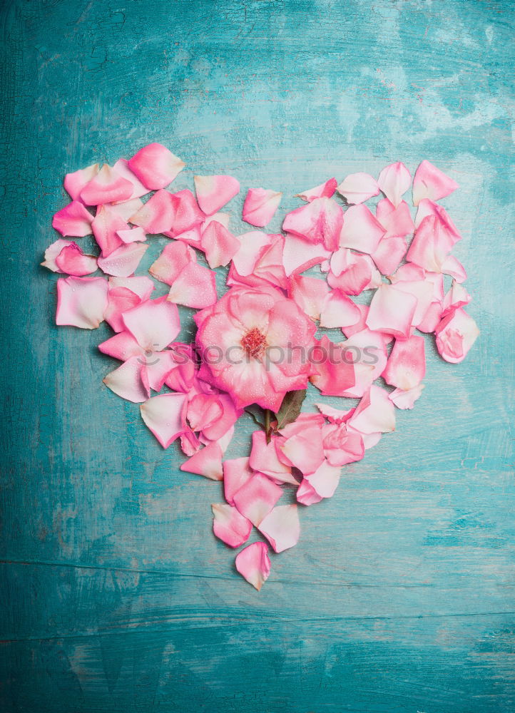 Image, Stock Photo Heart of pink rose petals on turquoise blue background