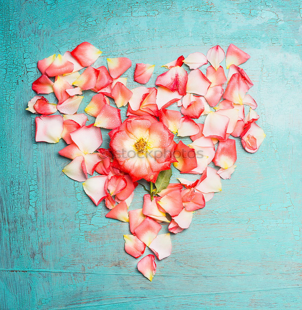 Similar – Image, Stock Photo Heart of pink rose petals on turquoise blue background