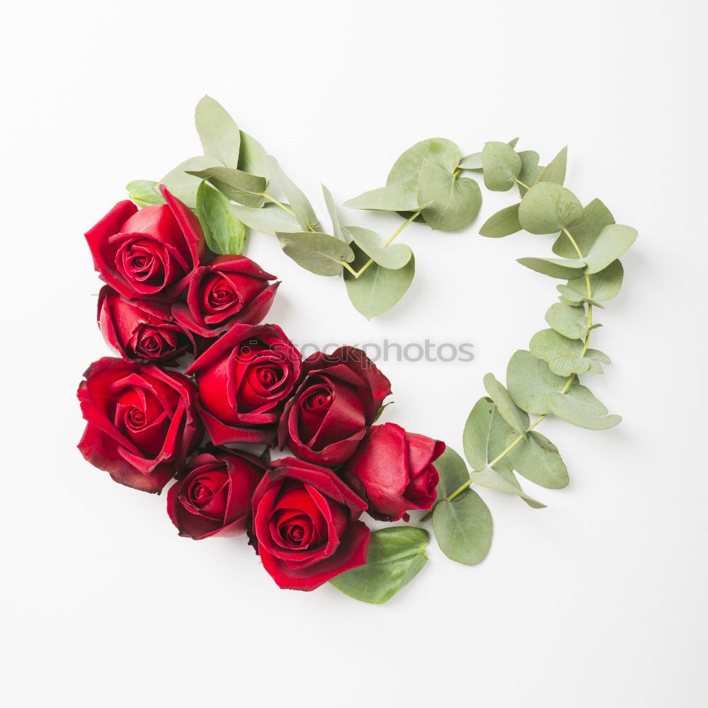 Similar – Red roses flowers, petals and hearts