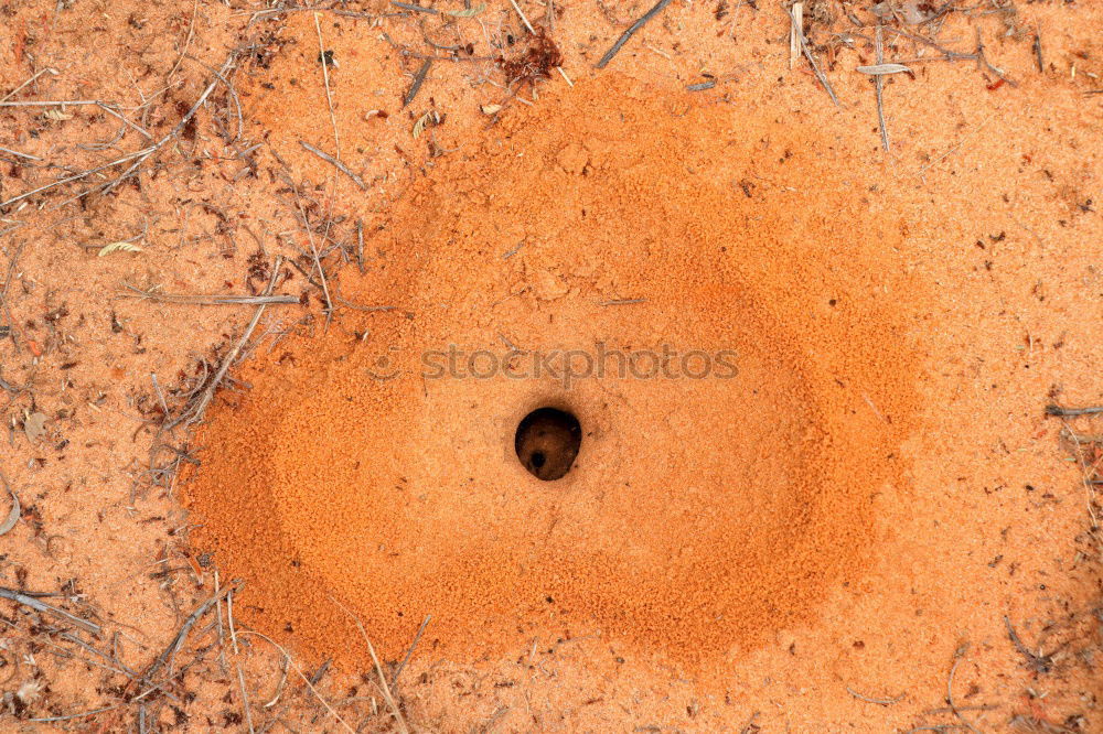 Similar – Image, Stock Photo Porthole with mooring rope