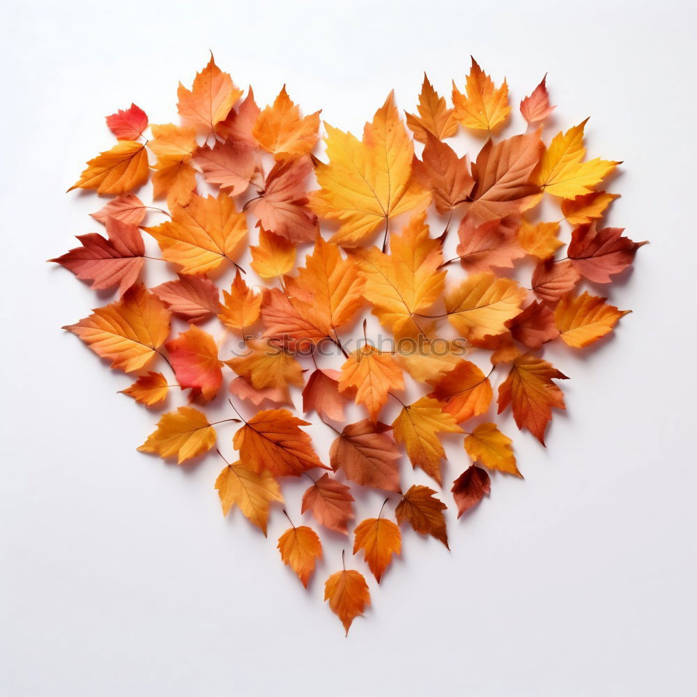 Similar – Tea cup with heart and falling colorful autumn leaves