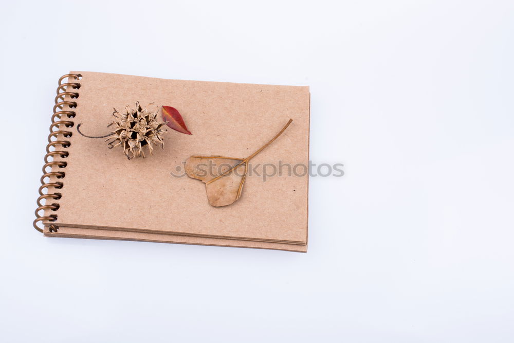 Similar – Kraft paper gift wrapping on white