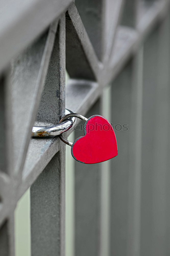 Similar – Image, Stock Photo red as love Style