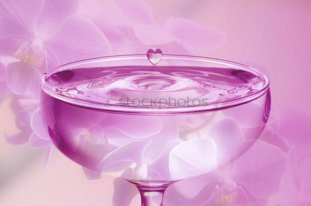 Similar – Image, Stock Photo Lavender Syrup Violet