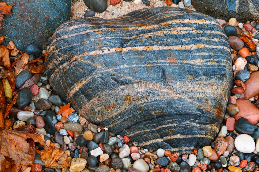 Similar – Image, Stock Photo Sedimentary rocks texture