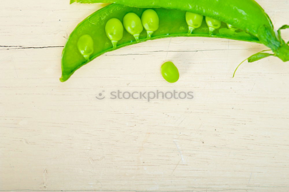 Similar – bamboo no. 2 Plant Vase