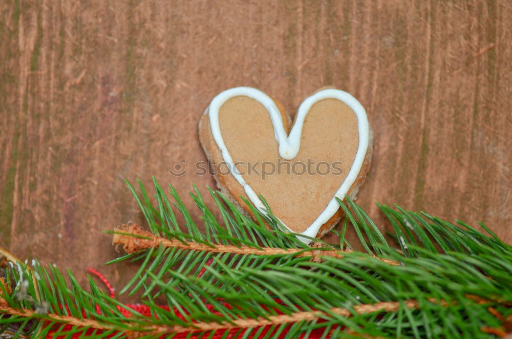 Similar – Image, Stock Photo Christmas gift Lifestyle