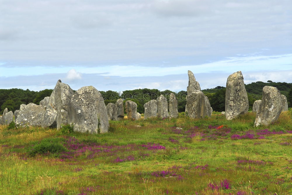 Similar – Image, Stock Photo standing stones Landscape