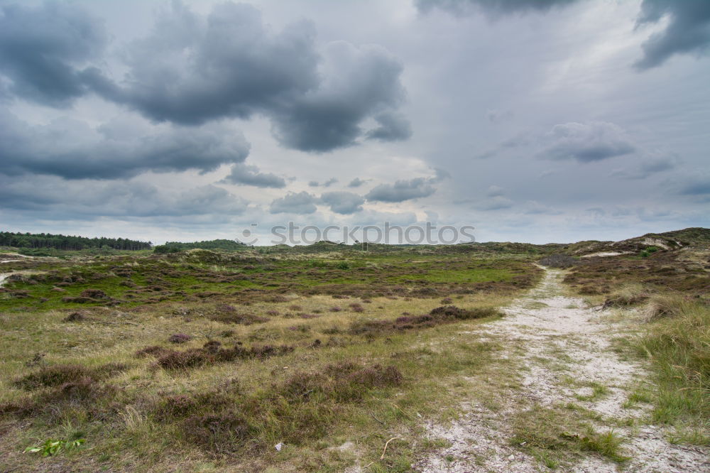 Similar – Image, Stock Photo The road to nothingness aka the way to happiness