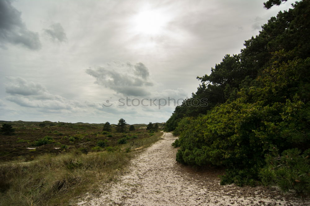 Similar – western beach Environment