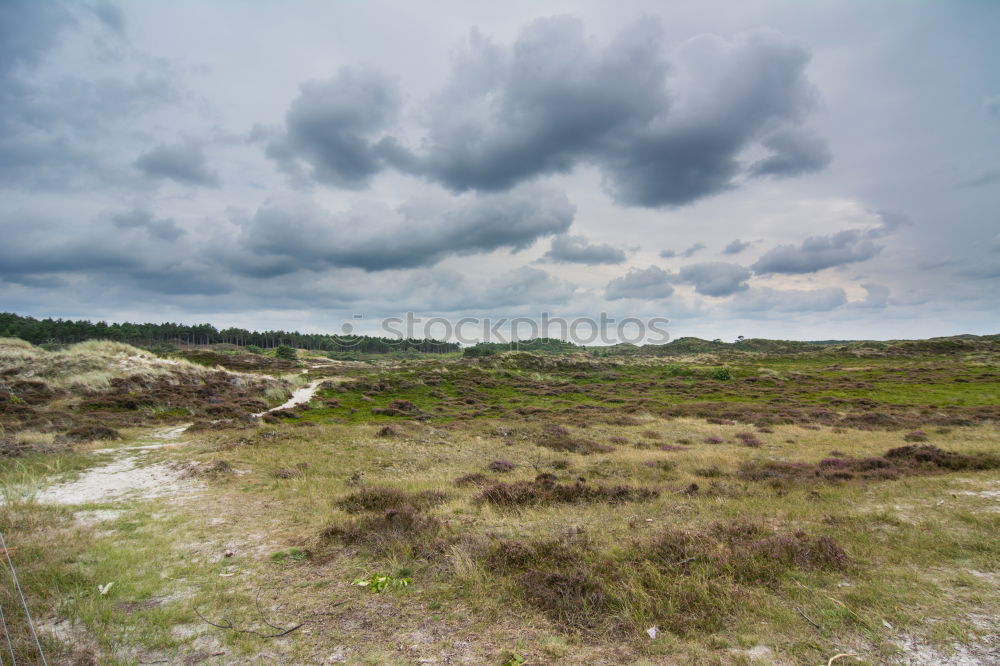 Similar – Foto Bild Blick vom Leuchtturm