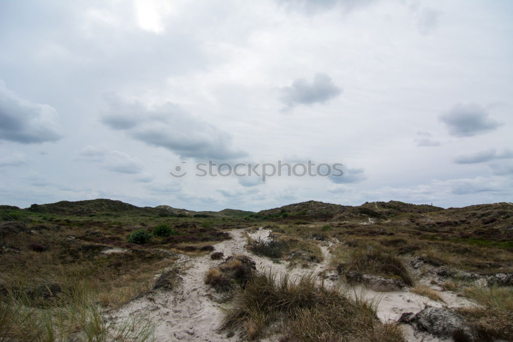 Similar – Image, Stock Photo The road to nothingness aka the way to happiness